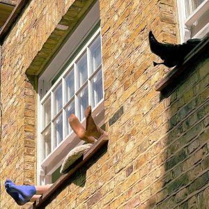 Ankles and feet sticking out of apartment windows. One barefoot, one with blue socks, and one with black boots with spike heels.